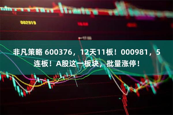 非凡策略 600376，12天11板！000981，5连板！A股这一板块，批量涨停！
