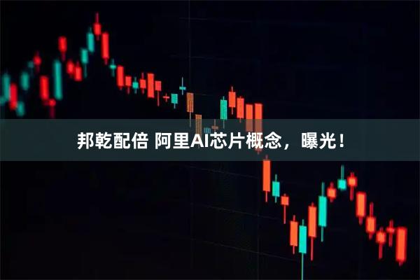 邦乾配倍 阿里AI芯片概念，曝光！