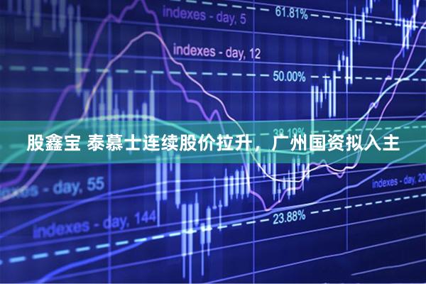 股鑫宝 泰慕士连续股价拉升，广州国资拟入主