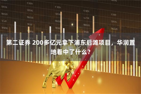 第二证券 200多亿元拿下浦东后滩项目，华润置地看中了什么？