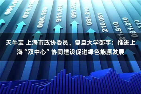 天牛宝 上海市政协委员、复旦大学邵宇：推进上海“双中心”协同建设促进绿色能源发展